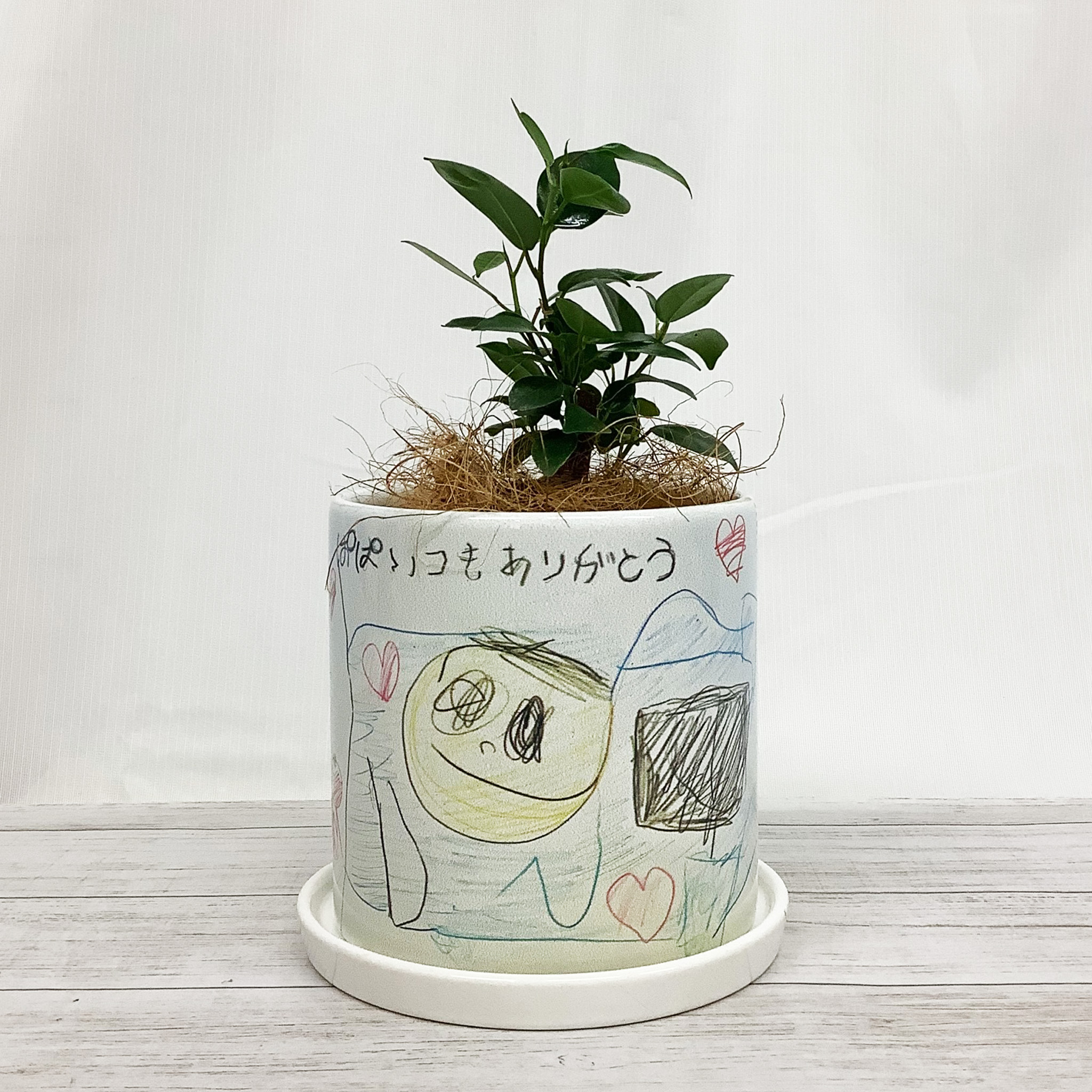 お絵かきフラワー ガジュマル
