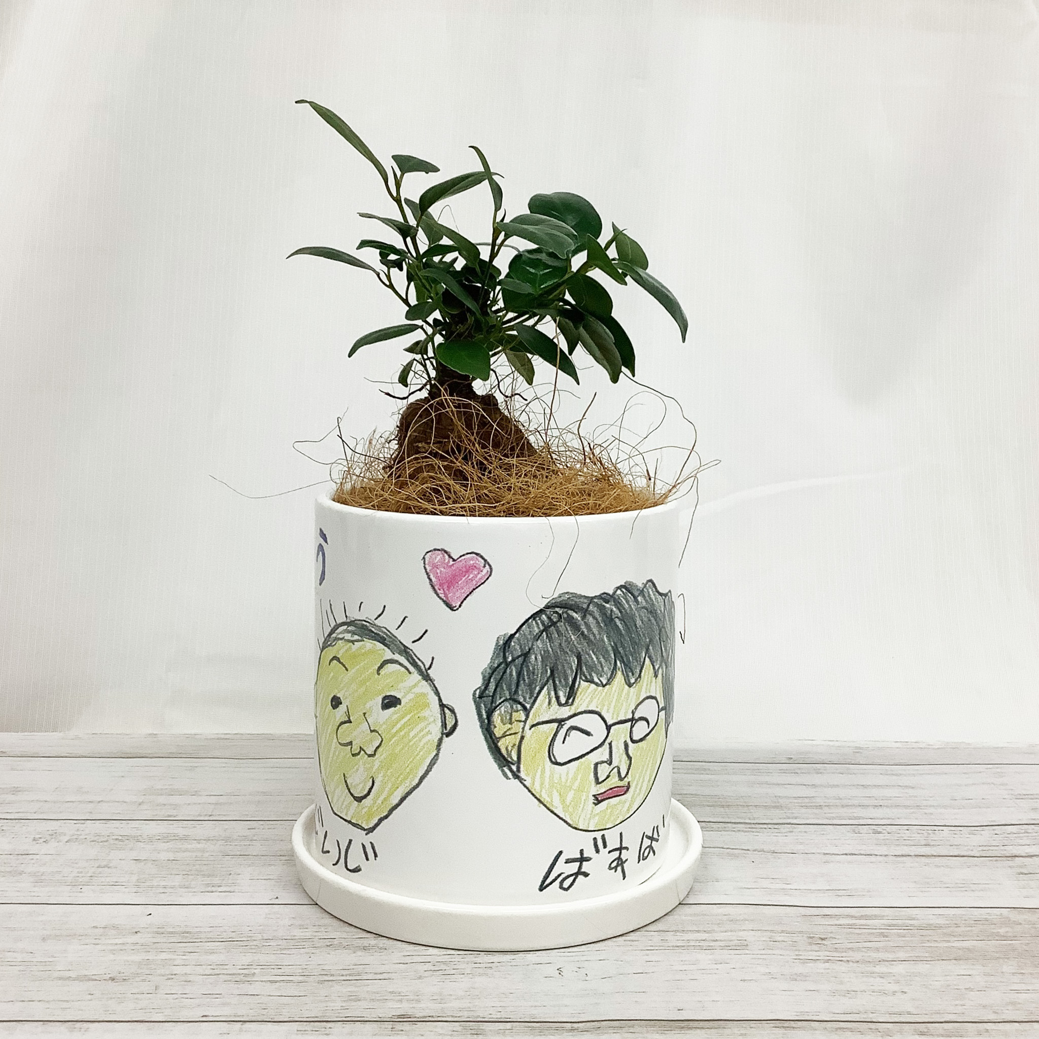 お絵かきフラワー ガジュマル