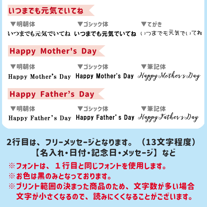【simple line】 THERMOS 写真入り水筒 500ml / JNL-S500