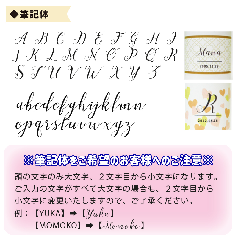 【simple line】 THERMOS 名入れデザイン水筒500ml / JNL-S500