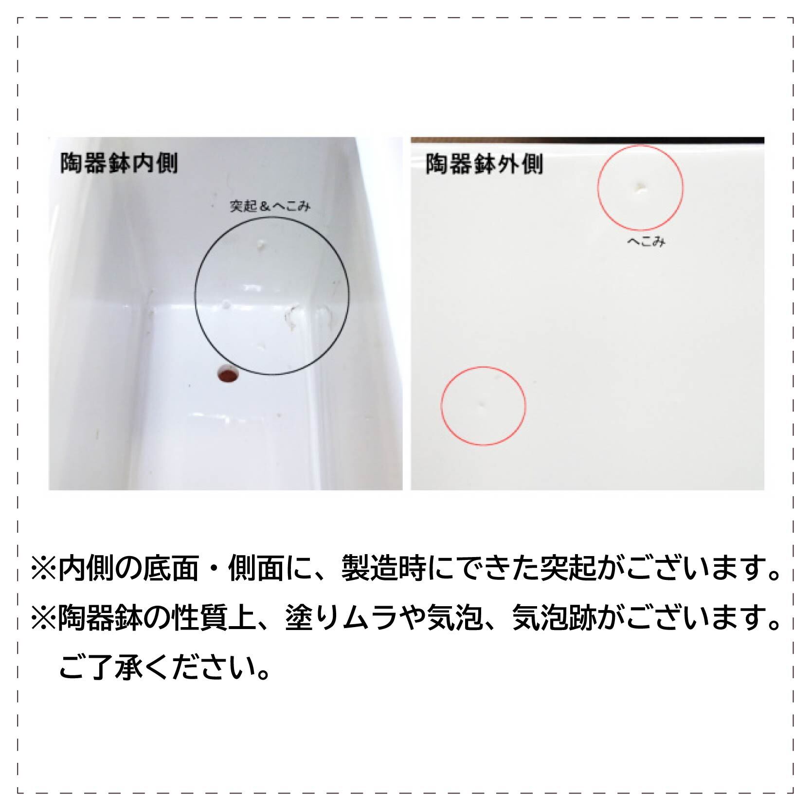 お絵かきフラワー　ガジュマル（大）