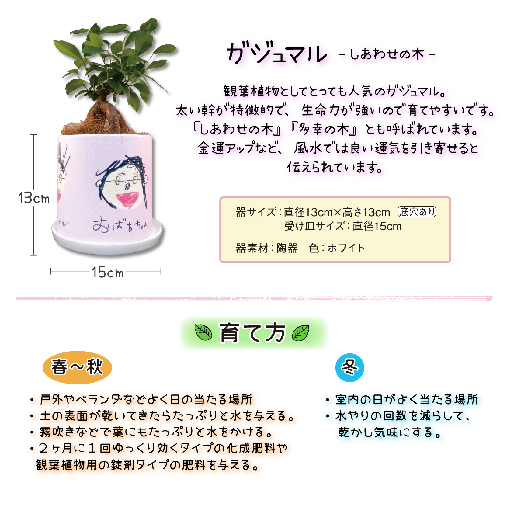 お絵かきフラワー<br>ガジュマル【多幸の木】