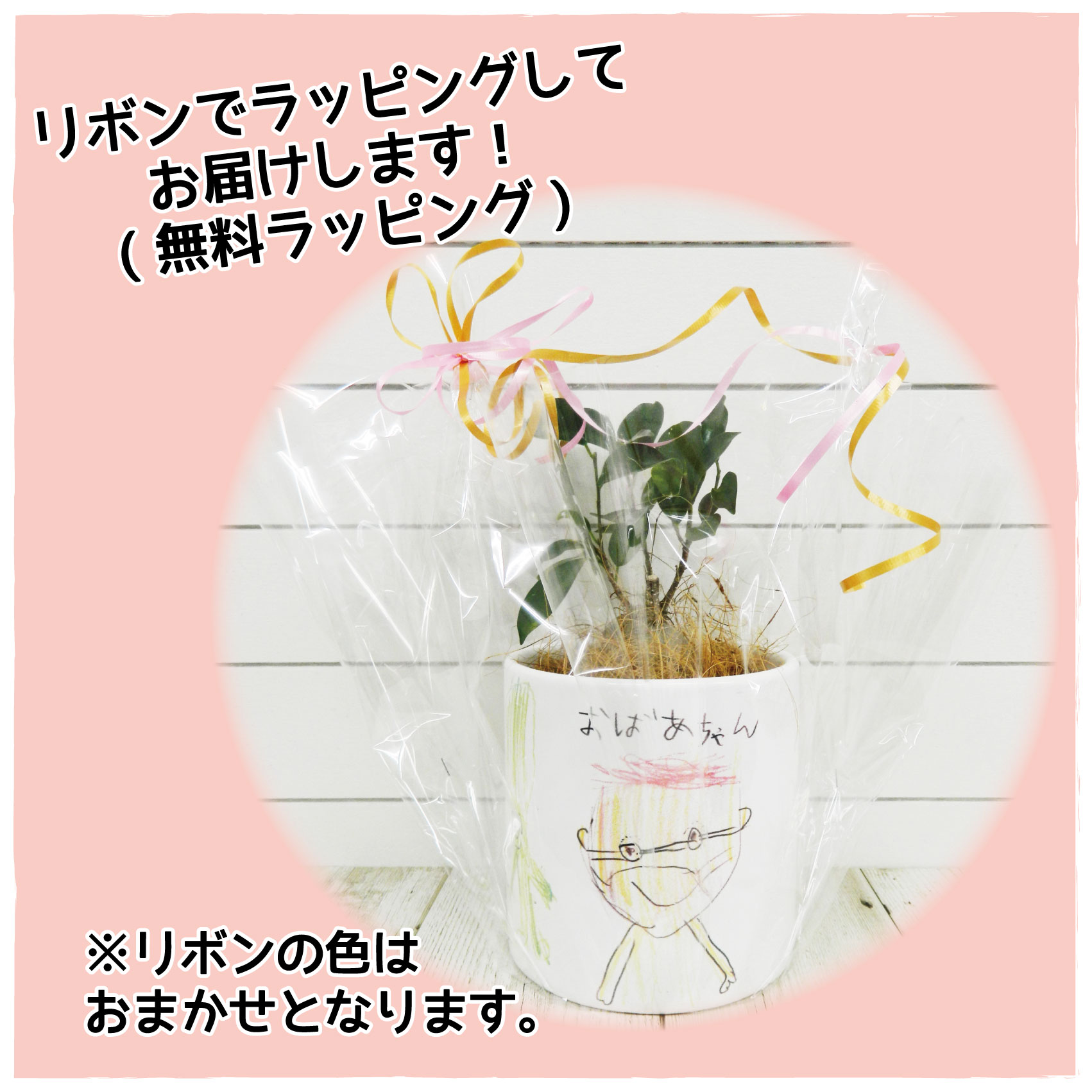 お絵かきフラワー<br>ガジュマル【多幸の木】